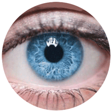 Pupil-dilation-animated-gif-5_220 Pupil-dilation-animated-gif-5_220